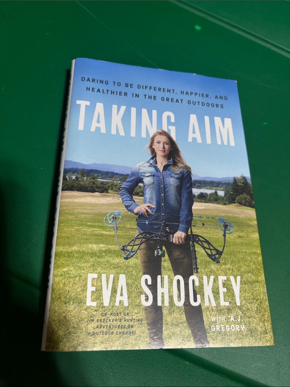 Book - Taking Aim